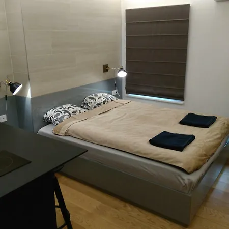 Lejlighed Gyneju - In Business Center Vilnius