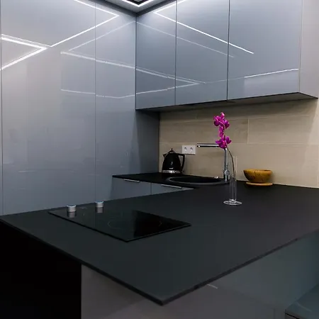 Gyneju - In Business Center Lejlighed Vilnius
